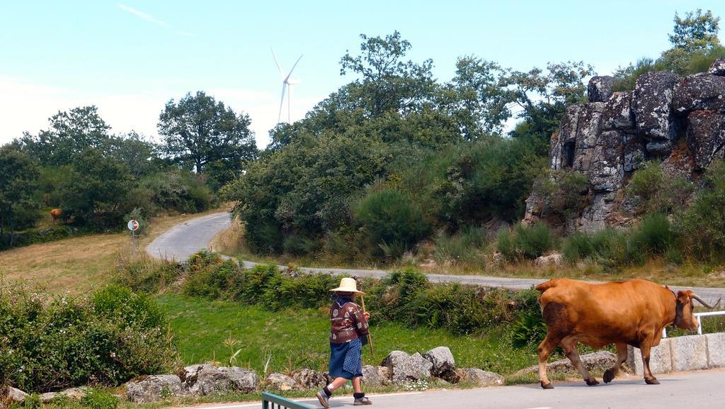 Aldeia Do Codecal Vendégház Codecal  Kültér fotó